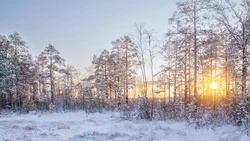 Снег и до -30 градусов: прогноз погоды в Сахалинской области на 15 февраля