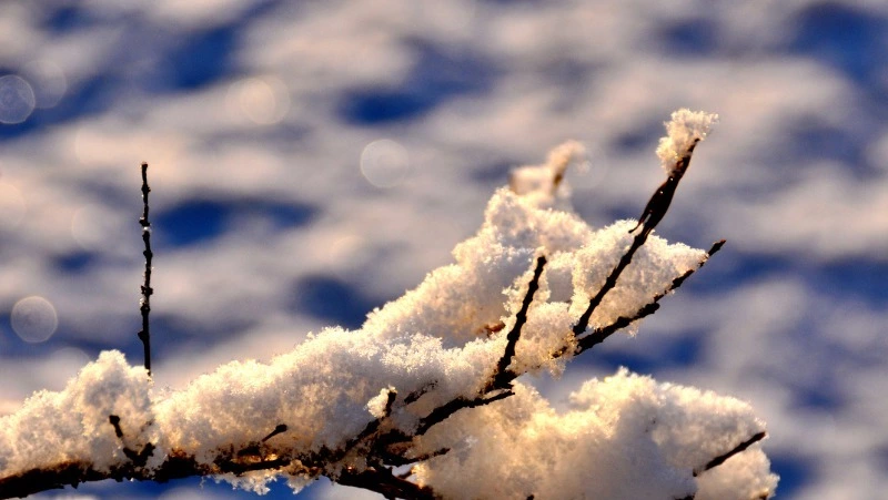 Народный и церковный праздник 4 марта: что нельзя делать в этот день