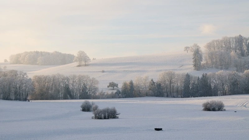 Сильные морозы придут на Сахалин и Курилы 20 декабря       