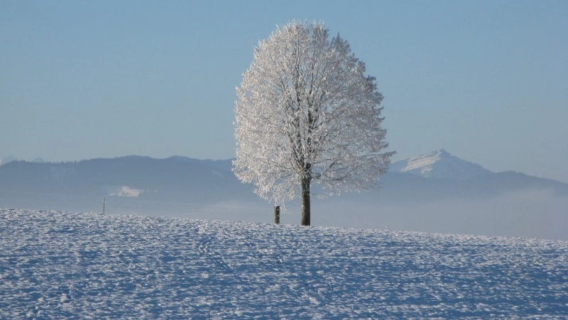 Народные приметы на 17 декабря: что нельзя делать в этот день
