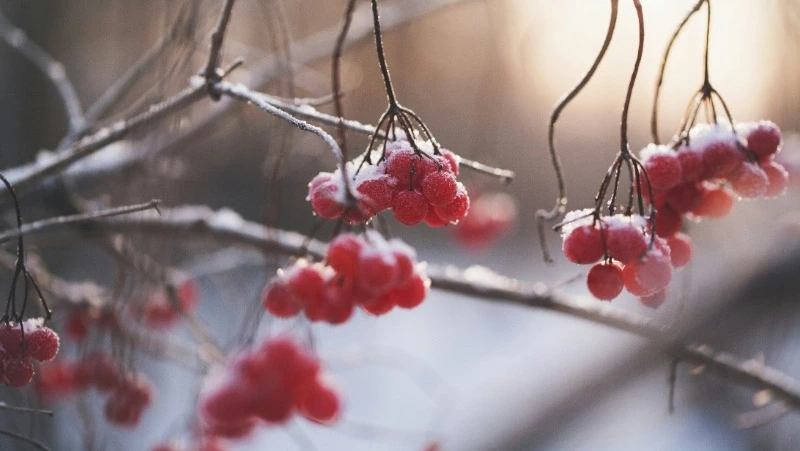 Народные приметы 31 марта: что нельзя делать в этот день