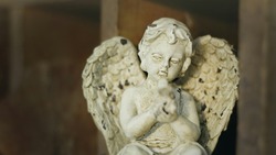 За плечами этих знаков зодиака стоит мощный ангел-хранитель