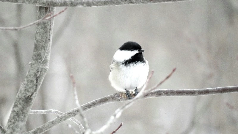 Народные приметы на 21 января 2024 года: что строго нельзя делать