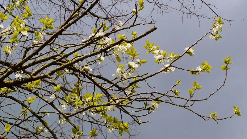 Народные приметы 21 апреля: что нельзя делать в этот день