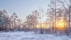 Снег и до -30 градусов: прогноз погоды в Сахалинской области на 15 февраля
