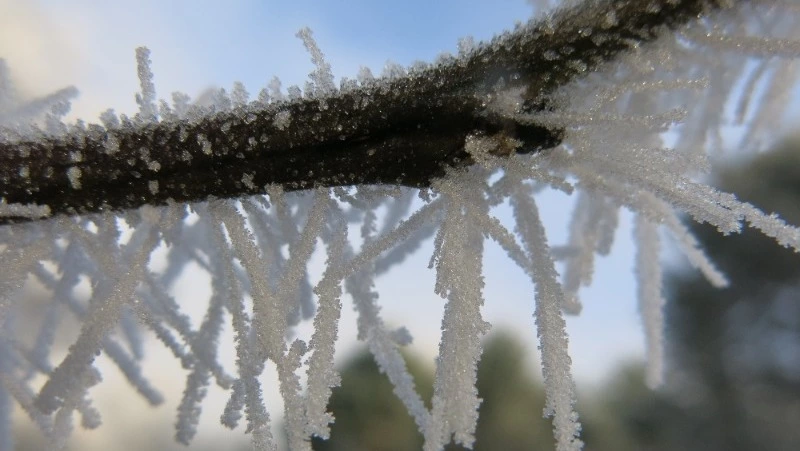 Северо-западный ветер и до -20 градусов: погода на Сахалине и Курилах 21 февраля