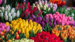 Что подарить на 8 марта: ТОП-6 оригинальных идей  