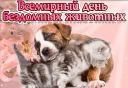 Картинки на Всемирный день бездомных животных 2024 год
