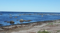 Синоптики пообещали теплую и дождливую погоду в Сахалинской области на следующей неделе   