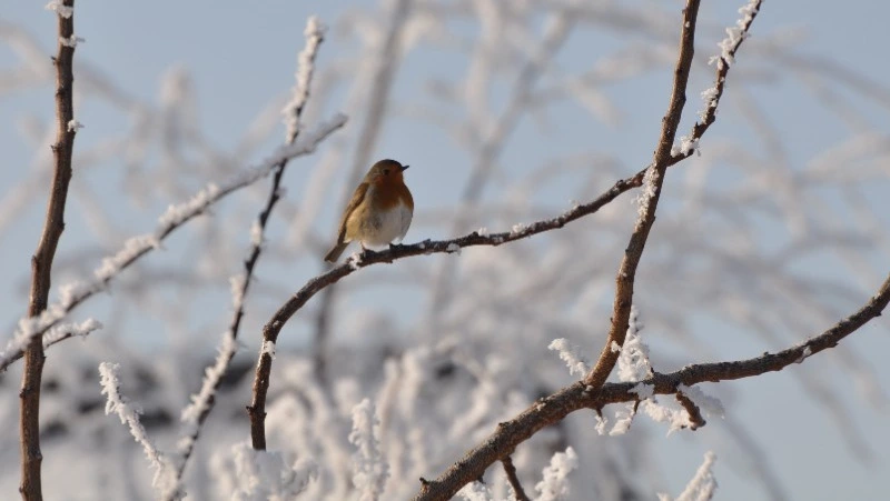 Народные приметы на 4 января 2024 года — что нельзя делать в этот день
