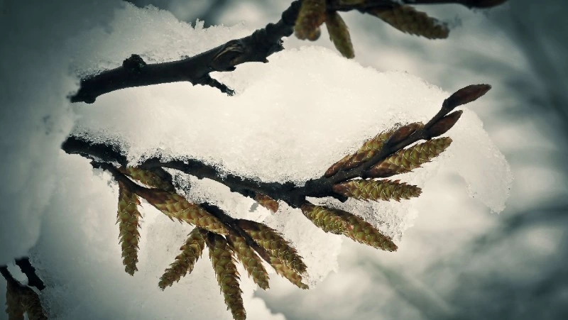 Народные приметы на 24 февраля: что нельзя делать в этот день