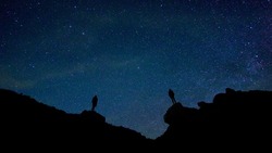 Гороскоп на 25 ноября 2023 года для всех знаков зодиака