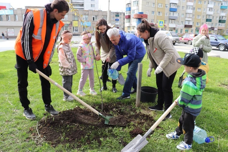 Зелёных насаждений в округе становится больше