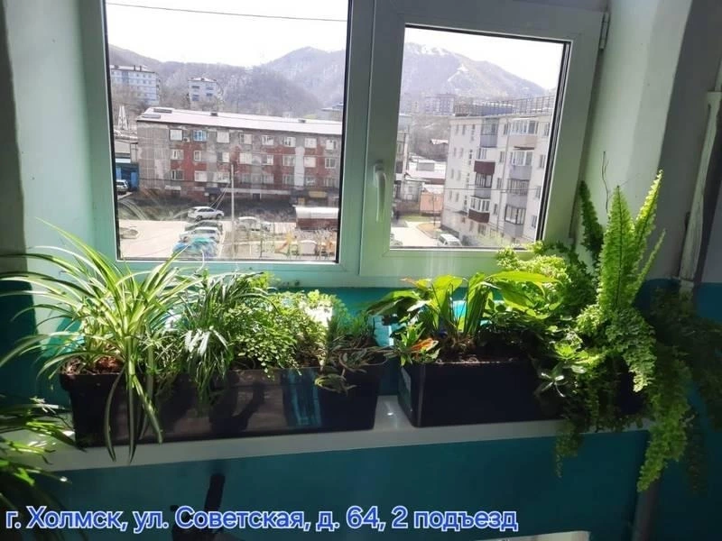 Лучшие подъезды апреля выбрали на Сахалине и Курилах