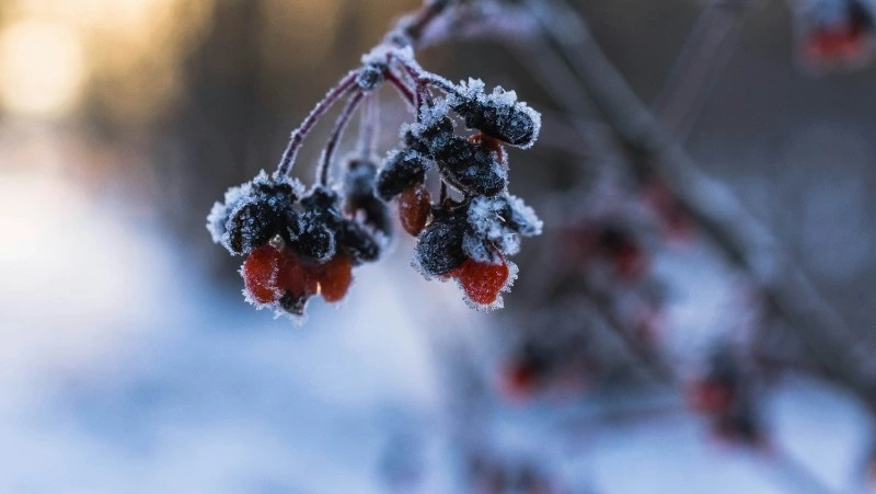 Народные приметы на 14 марта: что нельзя делать в этот день 