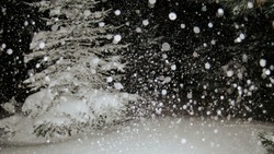 Слабый снег и +2 градуса: погода на Сахалине и Курилах 18 января