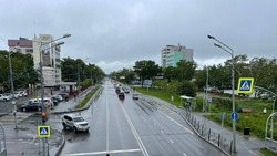 Погода в Сахалинской области 11 июля: туманы и опять дожди 