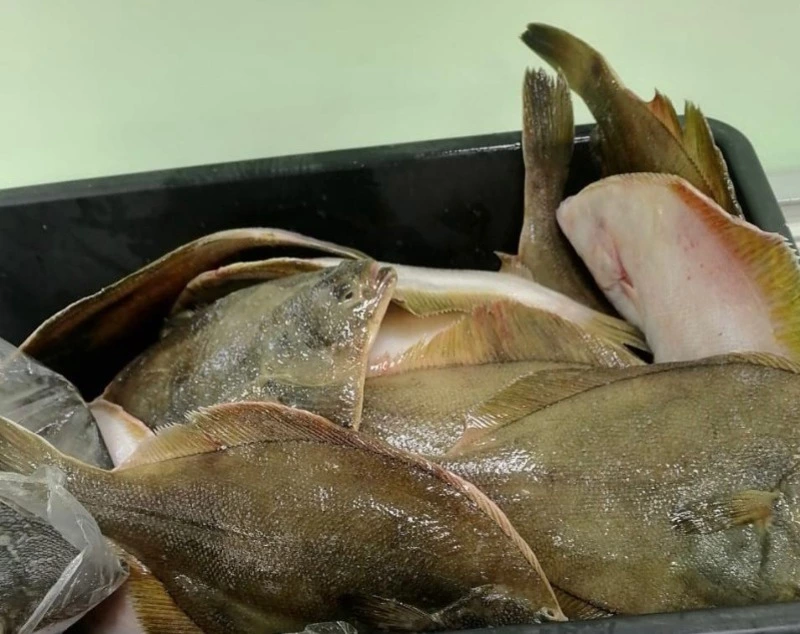 Уважаемые жители Холмского городского округа! 