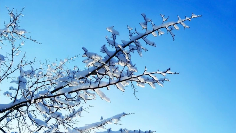 Народные приметы на 25 декабря 2023 года — что нельзя делать в этот день