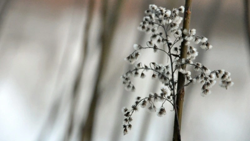 Народные приметы 7 апреля: что нельзя делать в этот день 