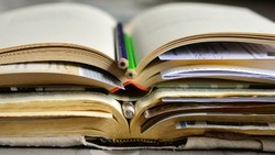 Если наберете 8/8, то считайте, что вы сдали ЕГЭ по русскому языку — ТЕСТ