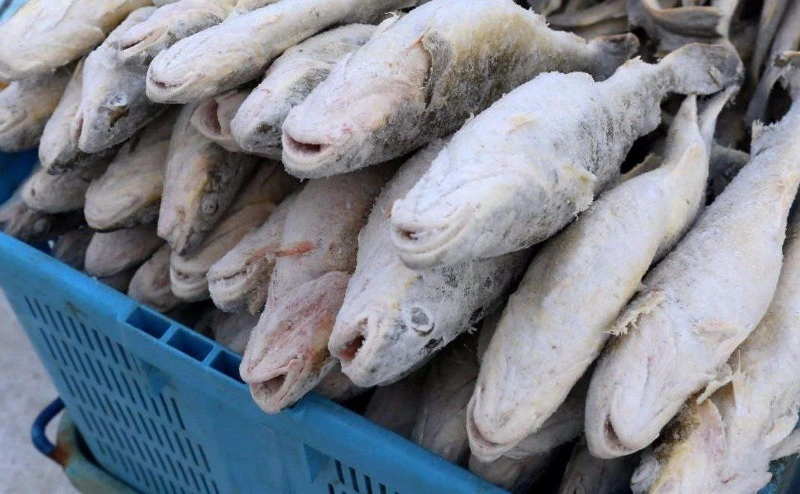 В Холмском городском округе продолжается реализация свежей рыбы по низким ценам