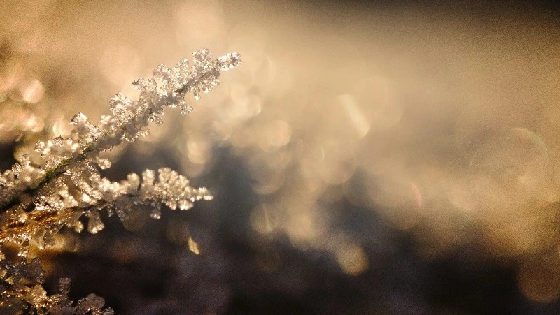 Народные приметы на 16 декабря: что нельзя делать в этот день