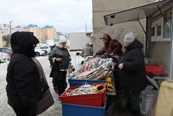 В Холмске проходит очередная социальная реализация рыбы