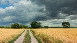 Повышенное давление и местами дожди: прогноз погоды в Сахалинской области на неделю