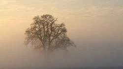 Народные приметы на 21 февраля: что нельзя делать в этот день
