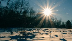 Каким будет лето 2024 года: список народных примет на март  