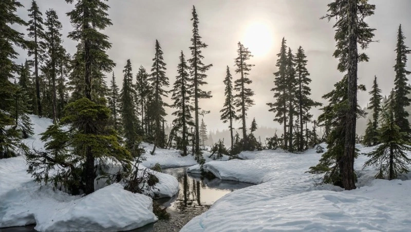 Народные приметы 11 марта: что нельзя делать в этот день 