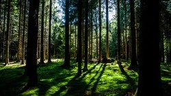 Народные приметы на 26 августа 2024: традиции, поверья, что нельзя делать