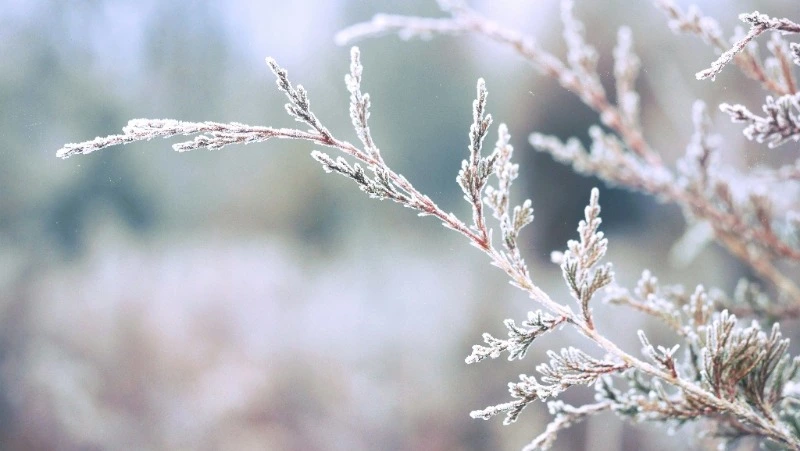 Народные приметы на 7 февраля: что нельзя делать в этот день 