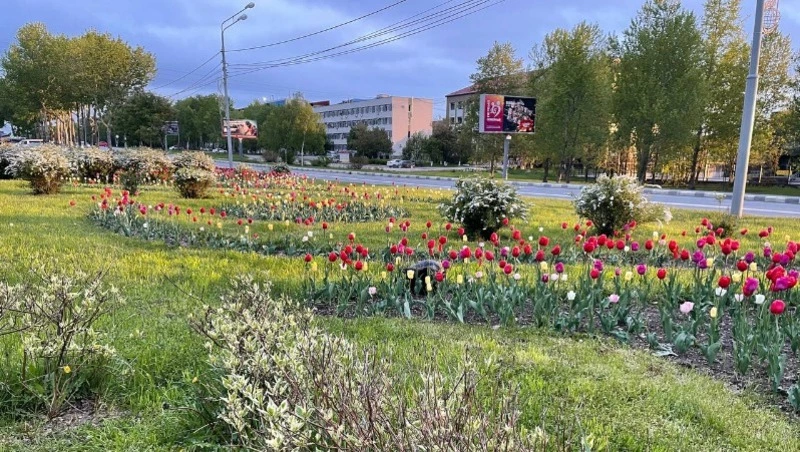 Атмосферный фронт с запада принесет дожди в Сахалинскую область на предстоящей неделе