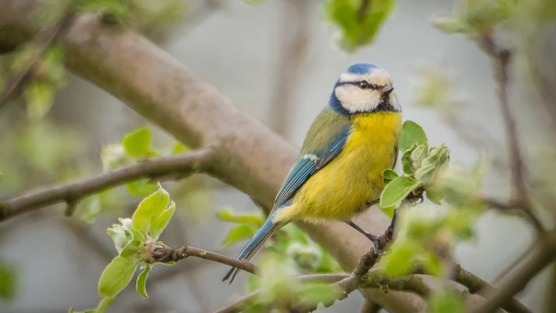 Народные приметы 2 мая: что нельзя делать в этот день