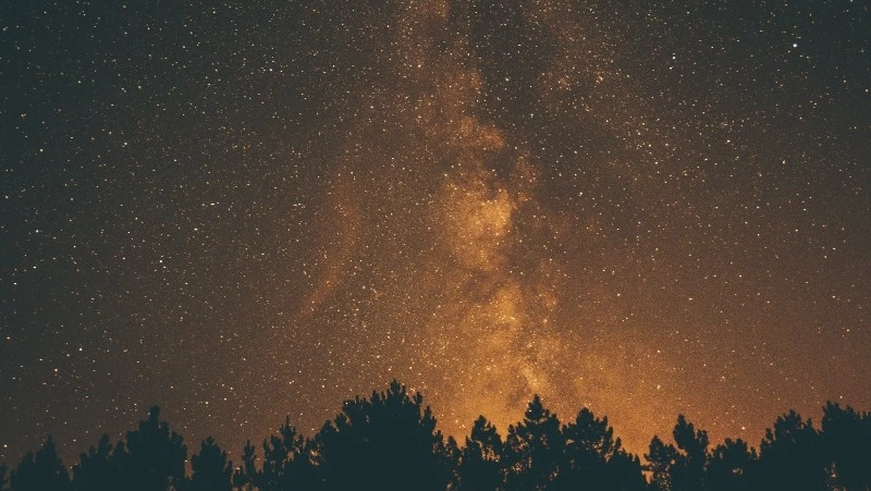 Гороскоп для всех знаков зодиака на 19 января 2024 года