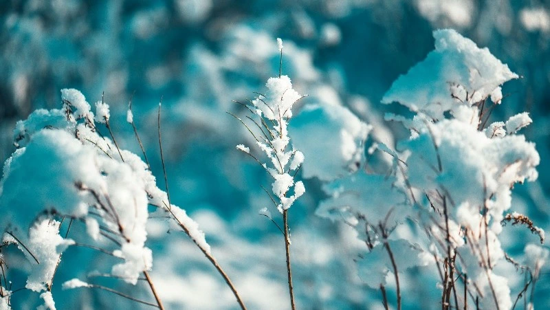 Народные приметы на 4 февраля: что нельзя делать в этот день