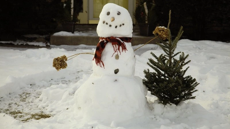 Сильные морозы ожидаются на Сахалине и Курилах 28 декабря   