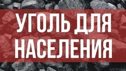 Принимаем заявки на поставку угля