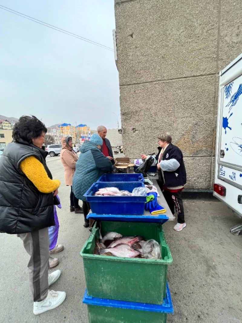 Продажа свежевыловленной рыбы растет