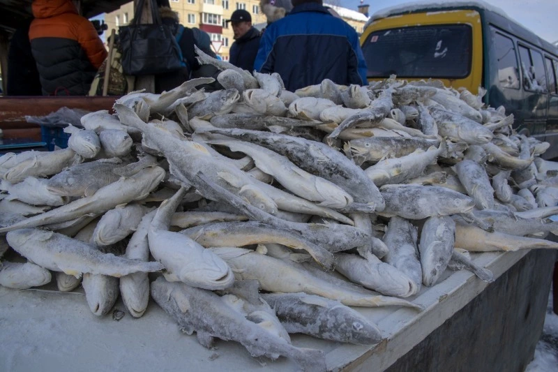 Для жителей округа будет продаваться камбала по 69 рублей за килограмм