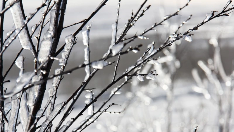 Народные приметы на 6 апреля: что нельзя делать в этот день 