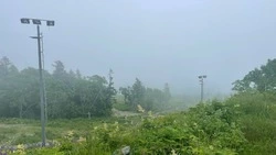 Тепло возвращается: прогноз погоды в Сахалинской области 6 августа 
