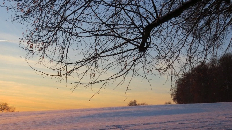 Народные приметы на 29 февраля: что нельзя делать в этот день 