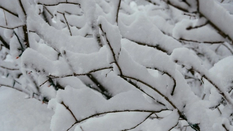 Церковный праздник 29 января 2024: приметы, что нельзя делать в этот день 