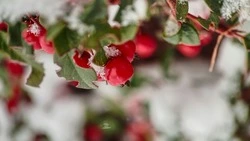 Народный и церковный праздник 6 марта: что нельзя делать в этот день 