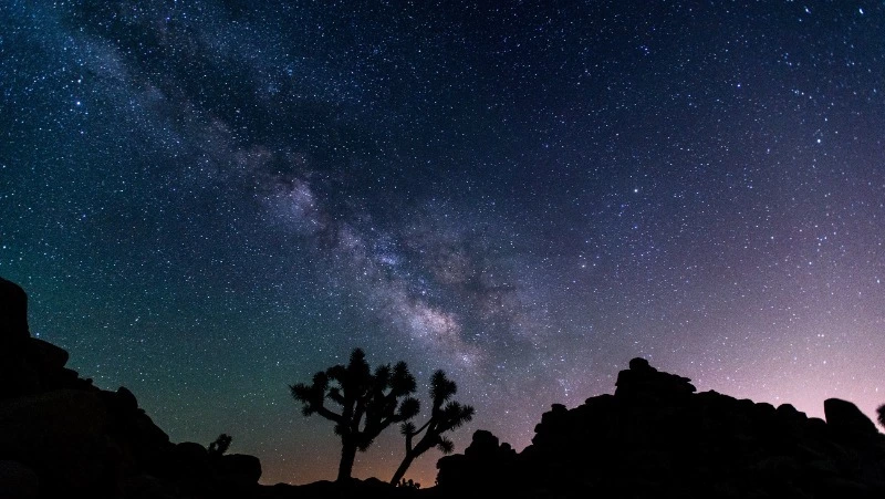 Гороскоп для всех знаков зодиака на 29 декабря 2023 года