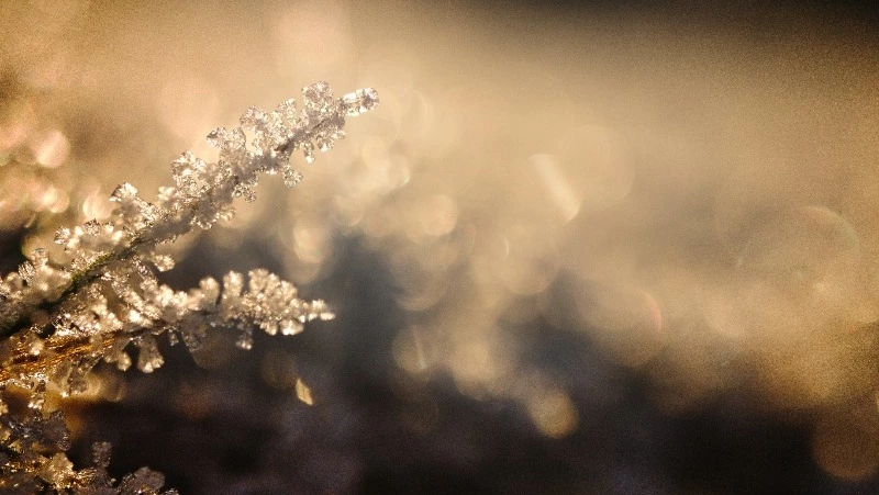 Церковный праздник 12 января 2024: что нельзя делать в этот день