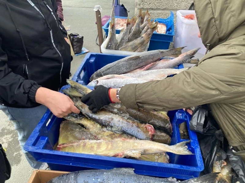 Доступная рыба для населения